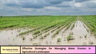 Effective Strategies for Managing Water Erosion in Agricultural Landscapes