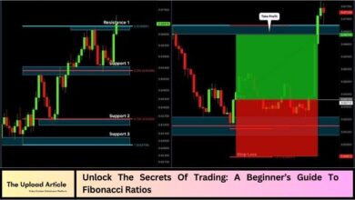Unlock The Secrets Of Trading: A Beginner’s Guide To Fibonacci Ratios