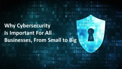Why Zero Cve Images Are Important for Security
