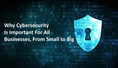 Why Zero Cve Images Are Important for Security