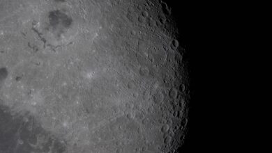 A detailed view of the moon surface showing a rugged lunar landscape pockmarked with craters under stark sunlight.