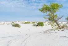 White Sands dunes in New Mexico near the ancient shoreline of Lake Otero