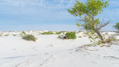 White Sands dunes in New Mexico near the ancient shoreline of Lake Otero