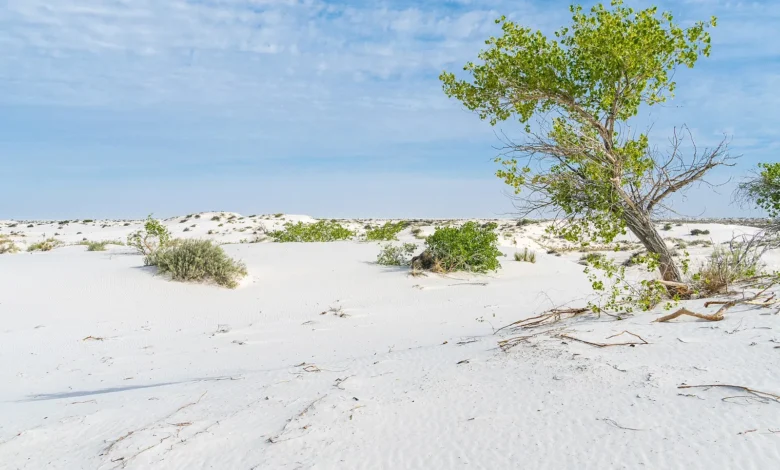 White Sands dunes in New Mexico near the ancient shoreline of Lake Otero