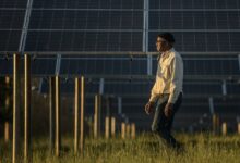 Solar panels above farmland