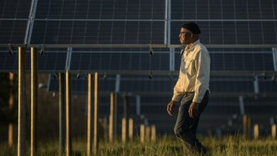 Solar panels above farmland
