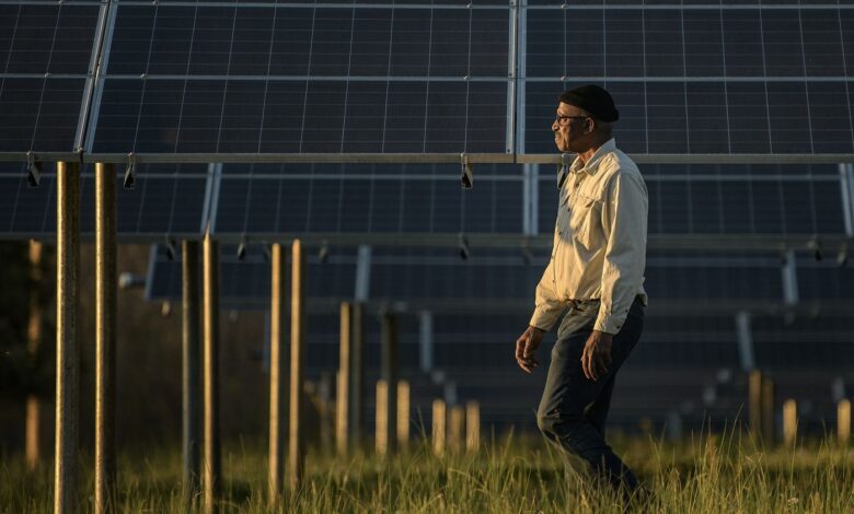 Solar panels above farmland