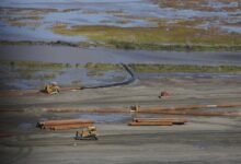 Coastal Wetlands Restoration After Katrina (20661627496)