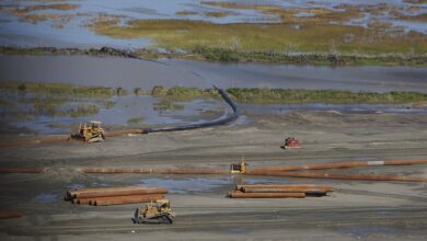 Coastal Wetlands Restoration After Katrina (20661627496)