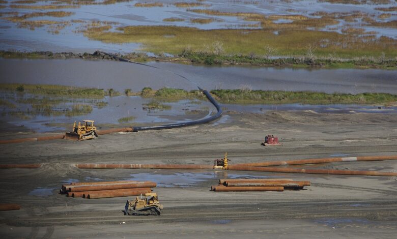Coastal Wetlands Restoration After Katrina (20661627496)